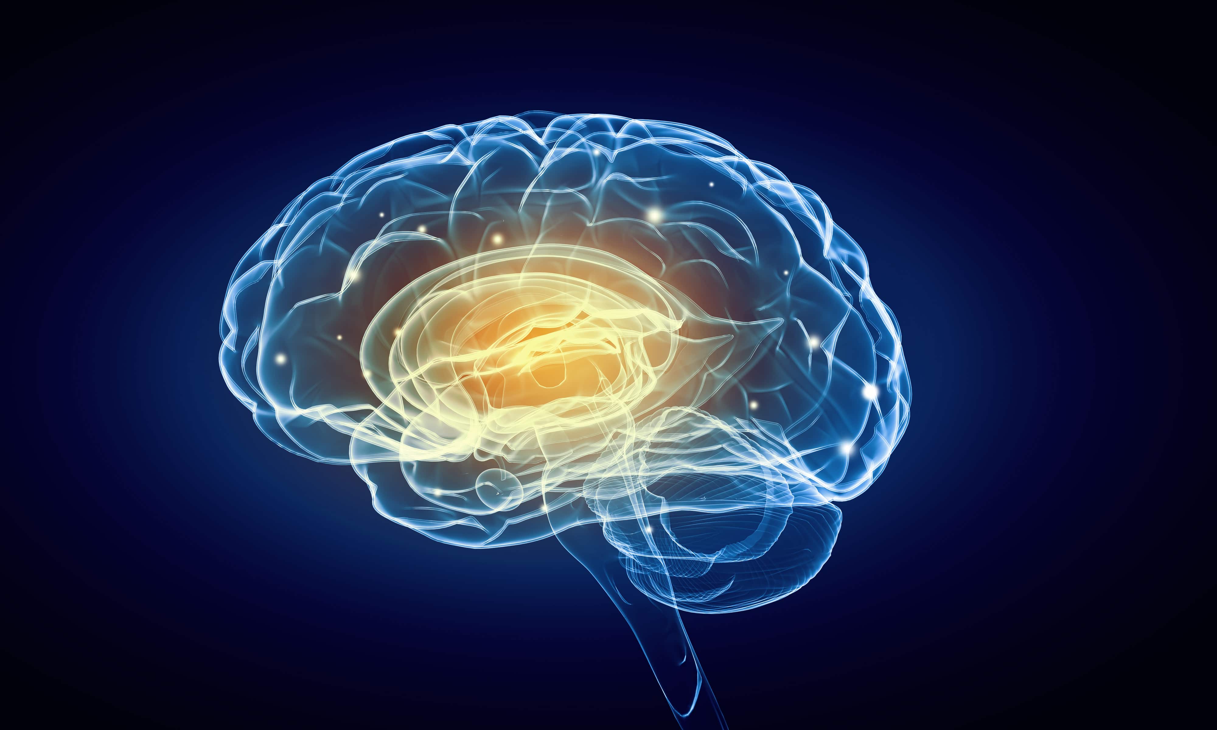 Концепція людського інтелекту з людського мозку на блакитному