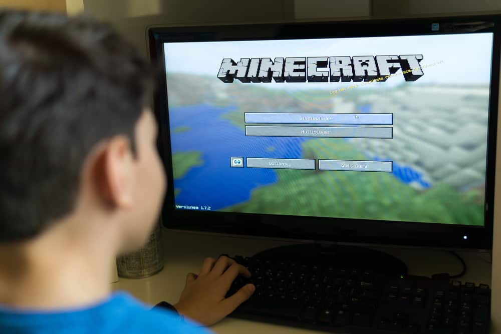 Хлопчик грає в Minecraft на ПК