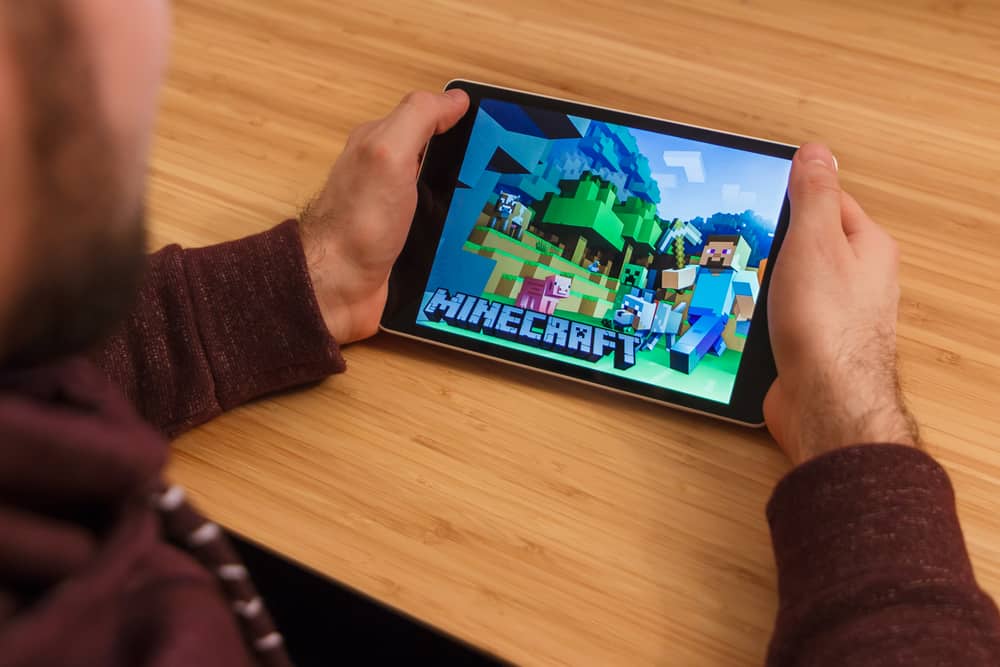 чоловік грає в minecraft