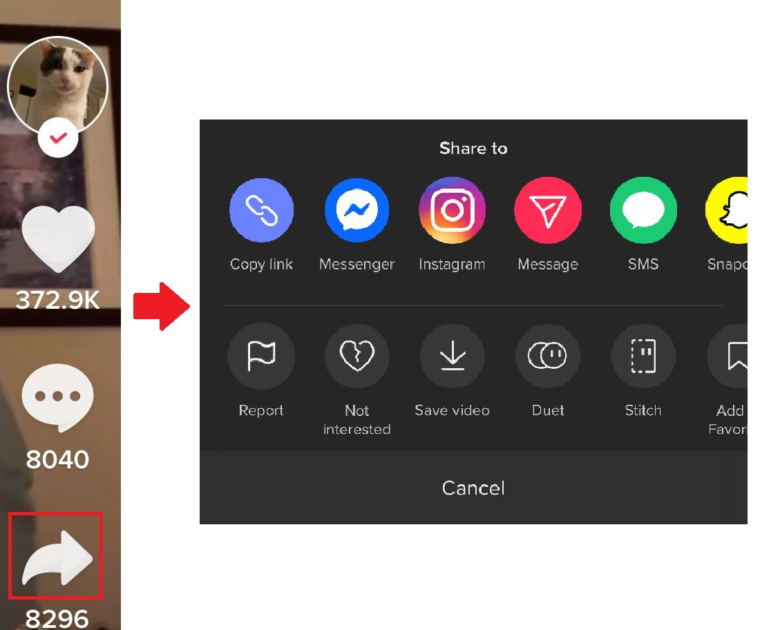 Як розкрутити блог на TikTok (20 стратегій)