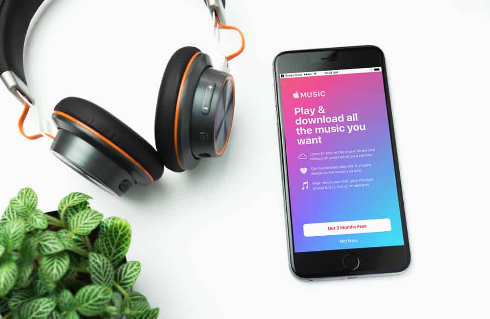 яблучна музика